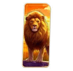 Lion
Safari